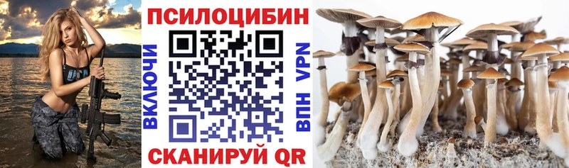 Псилоцибиновые грибы ЛСД  Купить  Аргун 